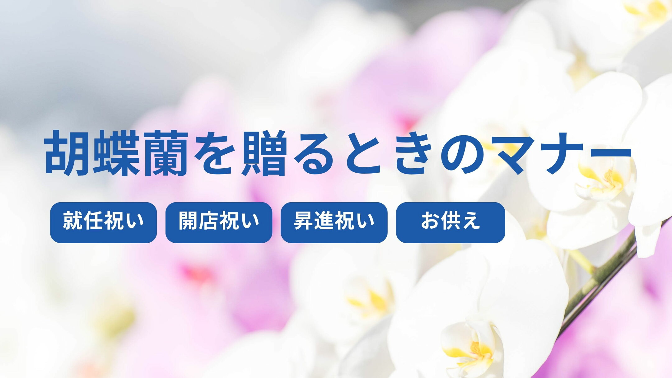 胡蝶蘭を贈るときのマナー