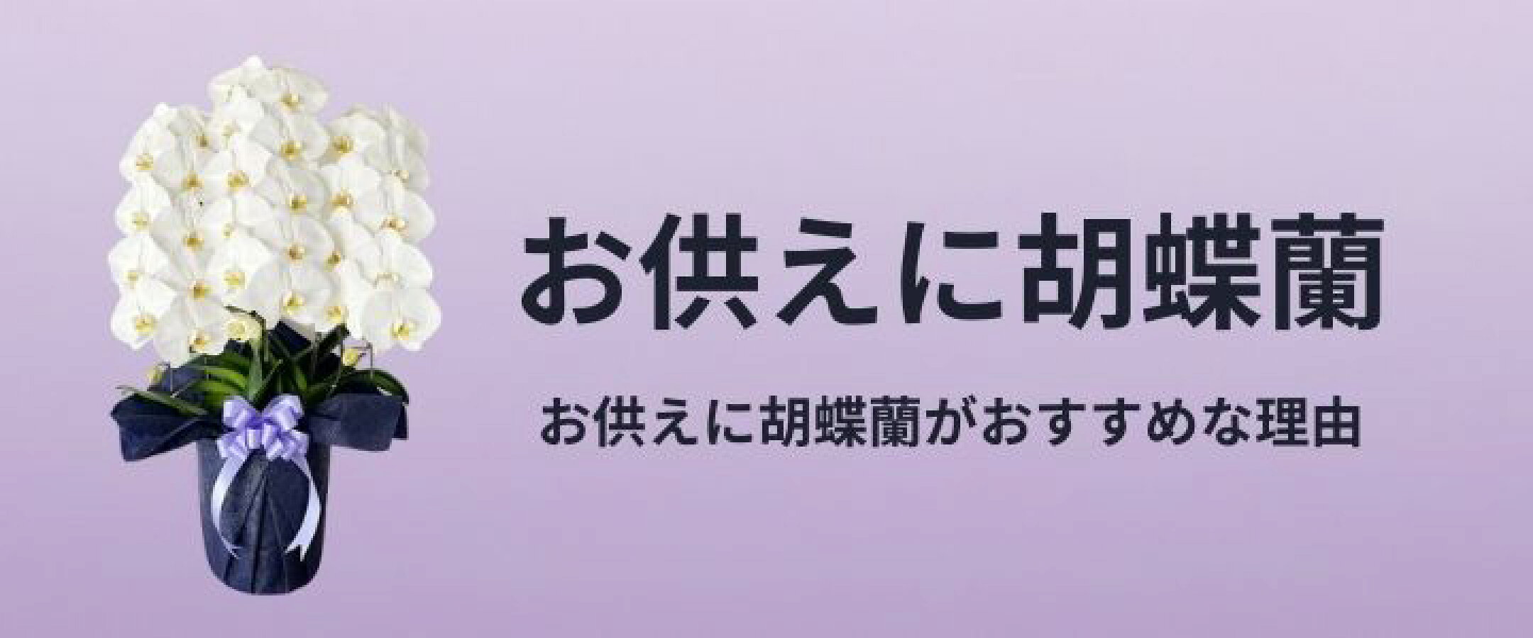 お供えに胡蝶蘭