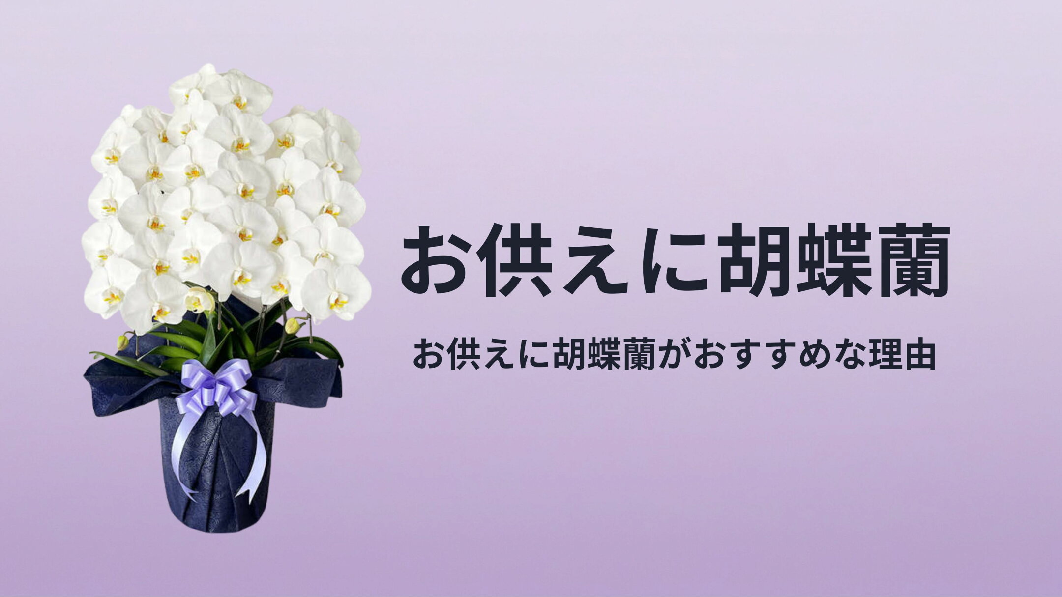お供えに胡蝶蘭