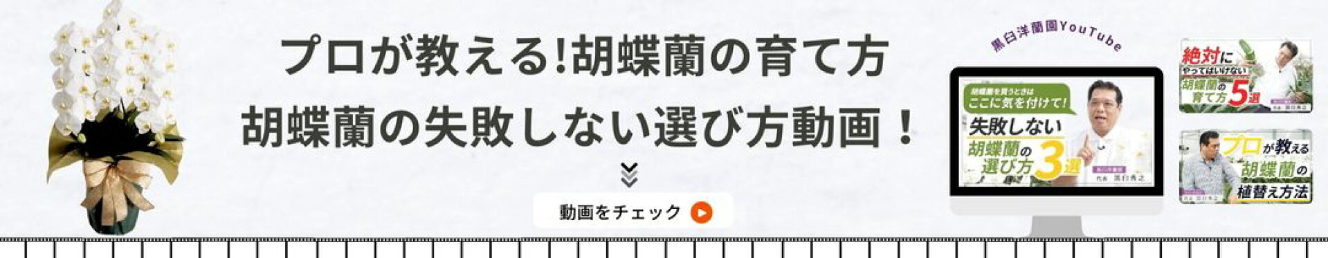 失敗しない胡蝶蘭の選び方動画ページ
