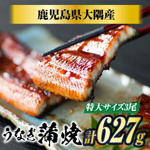 yzYȂĂMtgZbgi209g×3jΕɍœKIY@Ȃā@Ȃ ^pcN@Ȃ ϔ@ȂlîjΉ@Ȃ YȂ