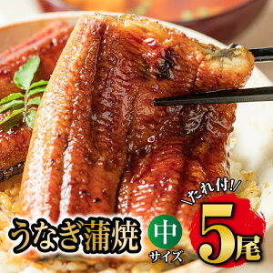 yzYȂĂMtgZbgi149g×5jΕɍœKIY@Ȃā@Ȃ ^pcN@Ȃ ϔ@ȂlîjΉ@Ȃ YȂ