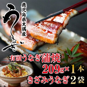 yzȂā݂Ȃ 209g×1+݂Ȃ2 Y Y Ȃ@Ȃ Mtg@Y Ȃ Ε@Y Ȃ p@Y Ȃ@Y Ȃ 