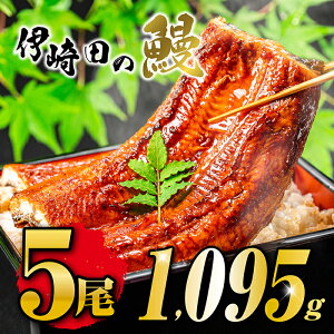 yzYȂĂMtgZbgi219g×5jY Ȃ ā@YȂ Ε@Ȃ ^pbN@Ȃ l@Ȃ Mtg@Ȃ bZ[WJ[h@ɍc̉V@