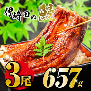 yzYȂĂMtgZbgi219g×3jΕɍœKIY@Ȃā@Ȃ ^pcN@Ȃ ϔ@ȂlîjΉ@Ȃ YȂ