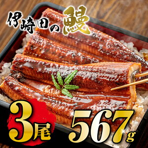 【送料無料】国産うなぎ蒲焼きギフトセット(189g×3尾)お歳暮に最適!鹿児島県産 うなぎ蒲焼 うなぎ 真空パツク うなぎ 化粧箱入り うなぎ熨斗(のし)対応 うなぎ高級 国産うなぎ
