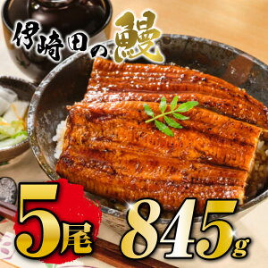 yzYȂĂMtgZbgi169g×5jΕɍœKIY@Ȃā@Ȃ ^pcN@Ȃ ϔ@ȂlîjΉ@Ȃ YȂ