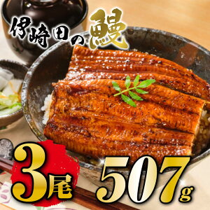 【送料無料】国産うなぎ蒲焼きギフトセット(169g×3尾)お歳暮に最適!鹿児島県産 うなぎ蒲焼 うなぎ 真空パツク うなぎ 化粧箱入り うなぎ熨斗(のし)対応 うなぎ高級 国産うなぎ
