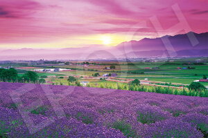 G|bN 1000s[X WO\[pY x_[F̕xǖ-kC (50x75cm) 09-052s ̂t wt _t EPOCH