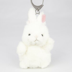 ̂ v`X̂Ȃ L[z_[ ETM  ʂ 68445