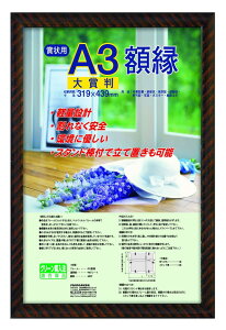 ナカバヤシ 額縁 賞状 金ラック(樹脂製) 賞状大賞判 フ-KWP-21 N