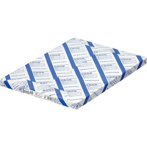 RN(KOKUYO) PPCp p FSCF 64G A3 250 KB-238N