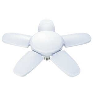 ���V(Takagi) EARTH MAN LED �d�� SAKUTO 55W LL-55SA