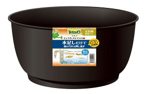 Tetra eg 傤ŃLC_J 30  ւ邱Ƃł @  ɂ   y sv
