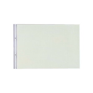 リヒトラブ クリヤーポケット A4E 2穴 10枚入 N2016