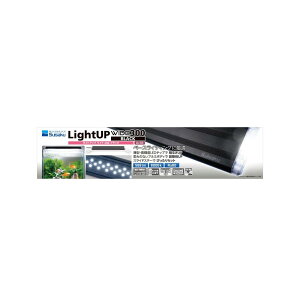  CgAbv WIDE 300 ubN 30-40cmp