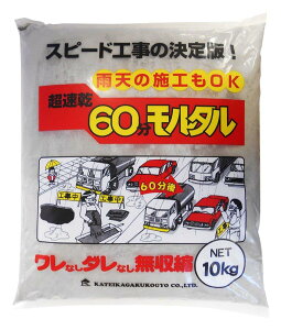ƒ뉻w 60^ O[ 10kg