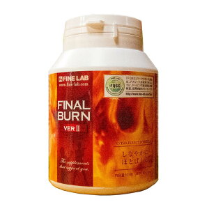 t@CE{ FINAL BURN VER 225