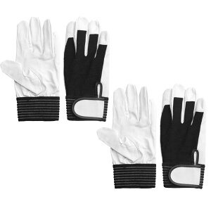 ACE y܂Ƃߔz2opbN Ǝ ؖ{vw  LTCY AG5153-2P ofBbg