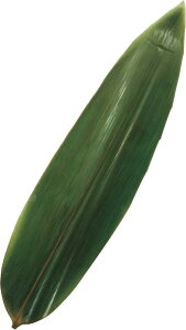 �_�� �������� �� M (9×35×3cm) 100���� �Ɩ��p