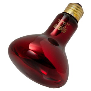 q[gO[ԊOƎ˃X|bg v 150W PT2146