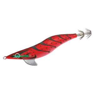 nuT(Hayabusa) FS513 XNCbhWL[ nOnO3 CZGr