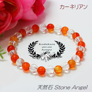 J[lA n[tNX^ uXbg 6mm J^   ^ K^ d^ fB[X Y WG[ p[Xg[ VR q Y  ǉ  DP oY  