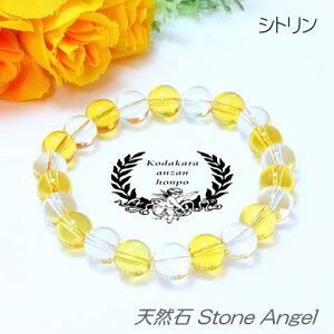 Vg n[tNX^ uXbg 8mm J^   ^ K^ d^ fB[X Y WG[ p[Xg[ VR q Y  ǉ  DP oY  ыF