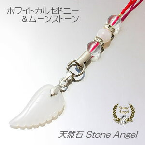 zCgJZhj[ [Xg[ Vg̉H y_g Xgbv J^   ^ K^ d^ fB[X Y WG[ ANZT[ p[Xg[ VR q Y 