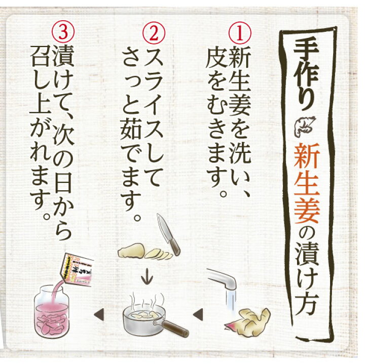 【送料込】【国産】【無添加】《新生姜漬けのもと200ml》5袋セット 家庭で手作りしょうが漬け 簡単ガリ作り こだまいきいき農場 《新生姜漬けのもと200ml》5袋セット 家庭で手作りしょうが漬け 簡単ガリ作り