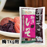 【国産】《梅漬けのしそ250g》梅干しを赤くしたいときに。梅1kg用　赤紫蘇　もみしそ　ネコポス便　赤しそ