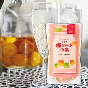 ܐHi@Ŕ~ЂB~\[_̑f@1L@~Vbv@Ђ邾2TԂŊȒPɊ