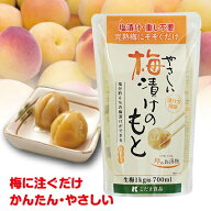 こだま食品 やさしい梅漬けのもと はちみつ入 完熟梅を漬ける　単品or4袋セット