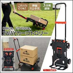 yEszJ[Sg[ ܂肽ݎ 2way 4 2  ω׏d150kg  ב