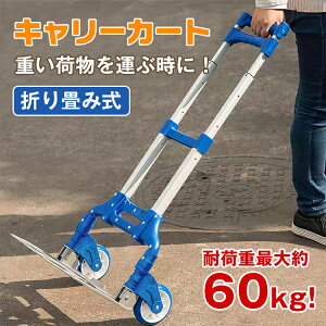 �L�����[�J�[�g �L�����[���S�� ��� �ו��^�� �܂肽���� �ω׏d60kg
