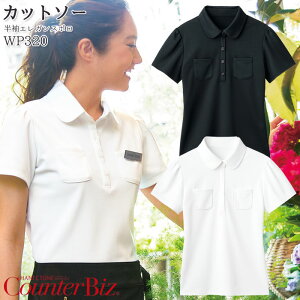 yPT10{&ő600~N[| 11/27 2z GKX| WP320 zCg ubN Jbg\[ |Vc m[AC fB[X { t  JE^[rY