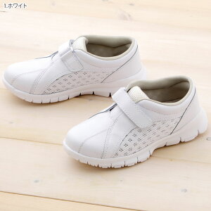 yPT10{ 12/4 20`12/11 2z i[XV[Y jp Cg[ ɂ 308 xmSi[X FOLK tH[N Xj[J[ C  Ōt 