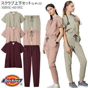 yPT2{ő600~N[|zz 10/9 2z fBbL[Y XNu ㉺Zbg   WK[pc 7089SC 6019SC fB[X uh i[XEFA Dickies FOLK(tH[N)