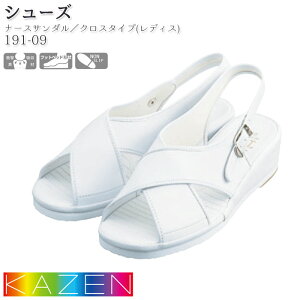 y12/1PT3{z i[XV[Y J[ 191-09 i[XT_ NX^Cv  KAZEN C  hN^[ a@