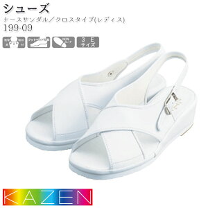 yPT10{&ő600~N[| 11/27 2z J[ i[XV[Y 199-09 i[XT_ NX^Cv KAZEN C  hN^[ Ōt a@