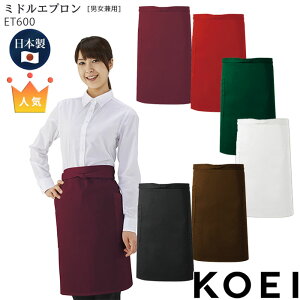 ~hGv ET600  jp Gv Ɩp  HX jtH[ KOEI h@