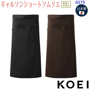 M\V[g\G GS75  Gv jp JtF {  HX jtH[ KOEI h@