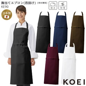 yPT10{&ő600~N[| 11/27 2z Gv     O OŌ h@ KOEI KE90