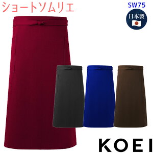 V[g\GGv SW75   h EFh~ Gv jp Ɩp {  HX jtH[ KOEI h@