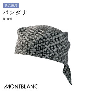 [r[TΏ] o_i 9-290 jp Op ̗t Zu a ~[ HX jtH[