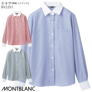 yPT10{&ő600~N[| 11/27 2z [r[TΏ] Vc  BV2201 SS`5L p fB[X Zu HX jtH[ JtF ڋq  XgCv