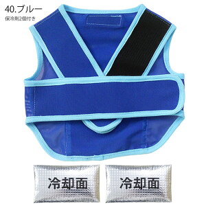 yPT10{ő600~N[| 11/4 20`11/7 2z { p ACXxXg Y ۗ2t ˃e[v tN^[ S ̖h~ ^ ^ pxXg ybg MǑ΍ObY 