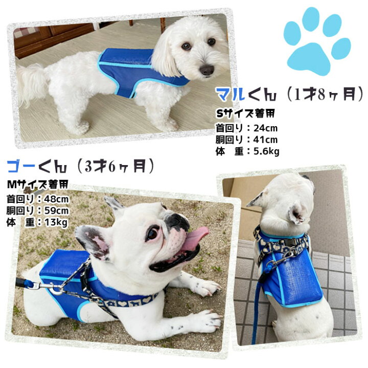 楽天市場 日本製 犬用 アイスベスト 国産 保冷剤2個付き クールベスト 小型犬 中型犬 冷却ベスト ペット 熱中症対策 ドッグベスト わんクール Biztime ビズタイム