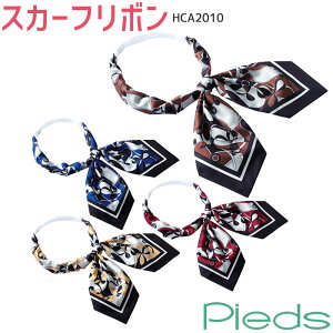  XJ[t{ {^C A2010 u[ GW x[W uE Pieds sG