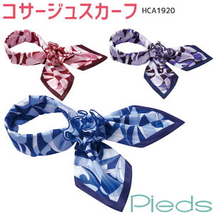 yPT10{ő600~N[| 11/4 20`11/7 2z  RT[WXJ[t HCA1920 u[ sN p[v Pieds sG